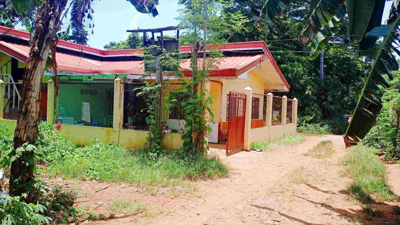 Photo of Outdoor in Puerto Princesa City Centre
