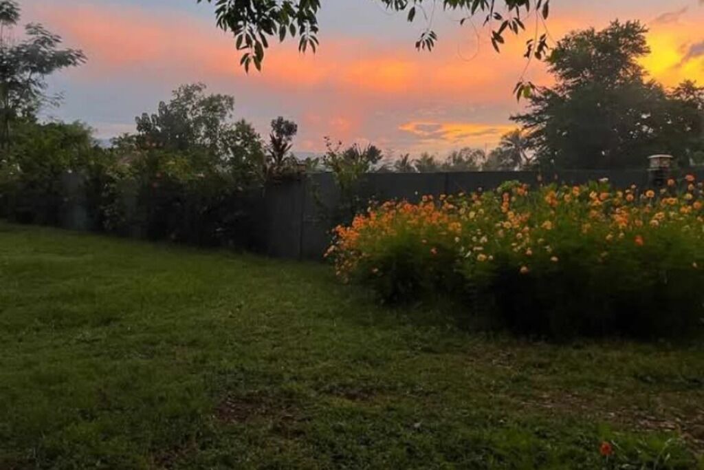 Photo of Outdoor in Moalboal
