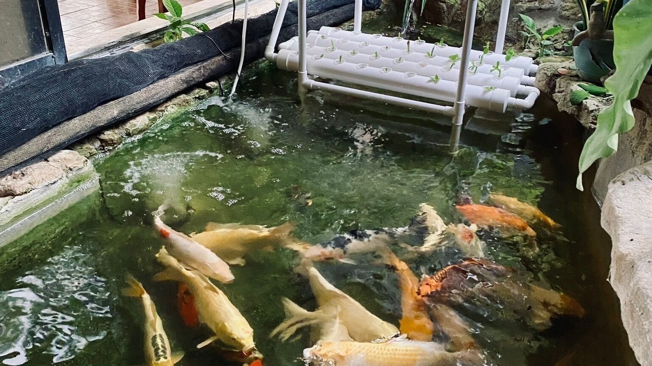 Photo of Outdoor in Tabogon