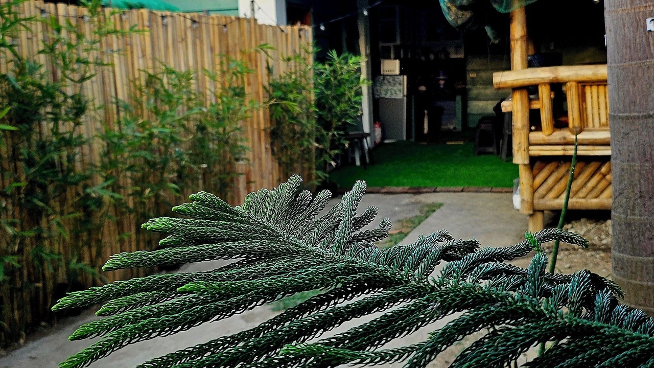 Photo of Outdoor in Dasmarinas