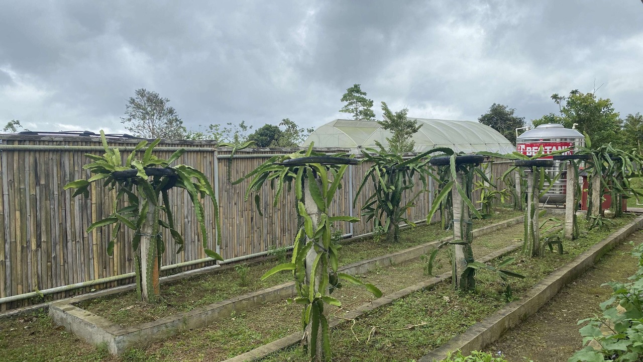 Photo of Outdoor in Amadeo