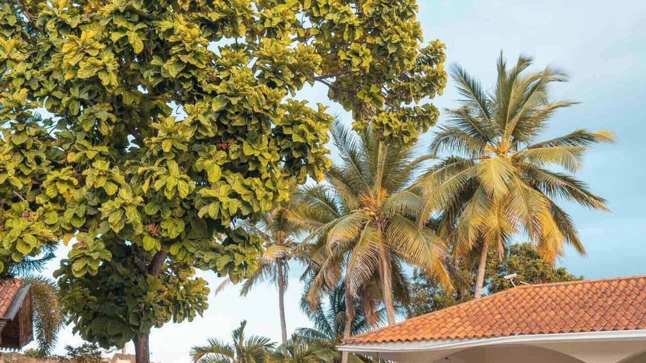 Photo of Outdoor in Barrio Las Yaguitas