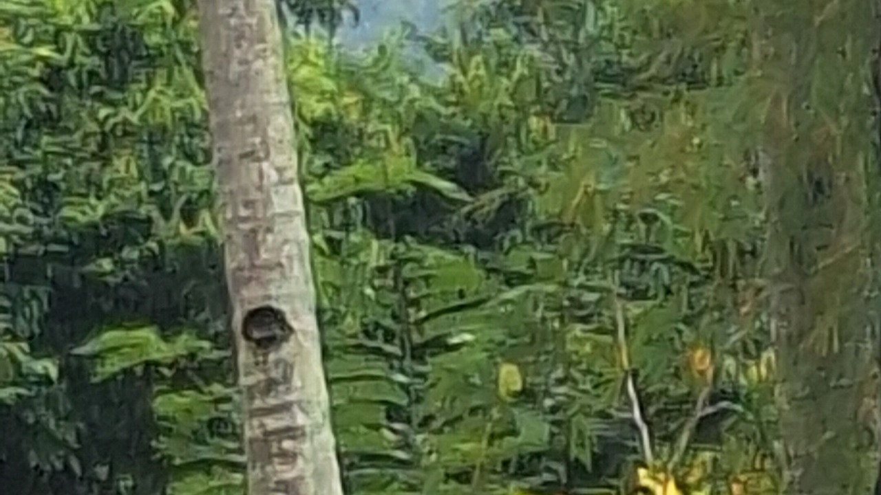 Photo of Outdoor in Carmen