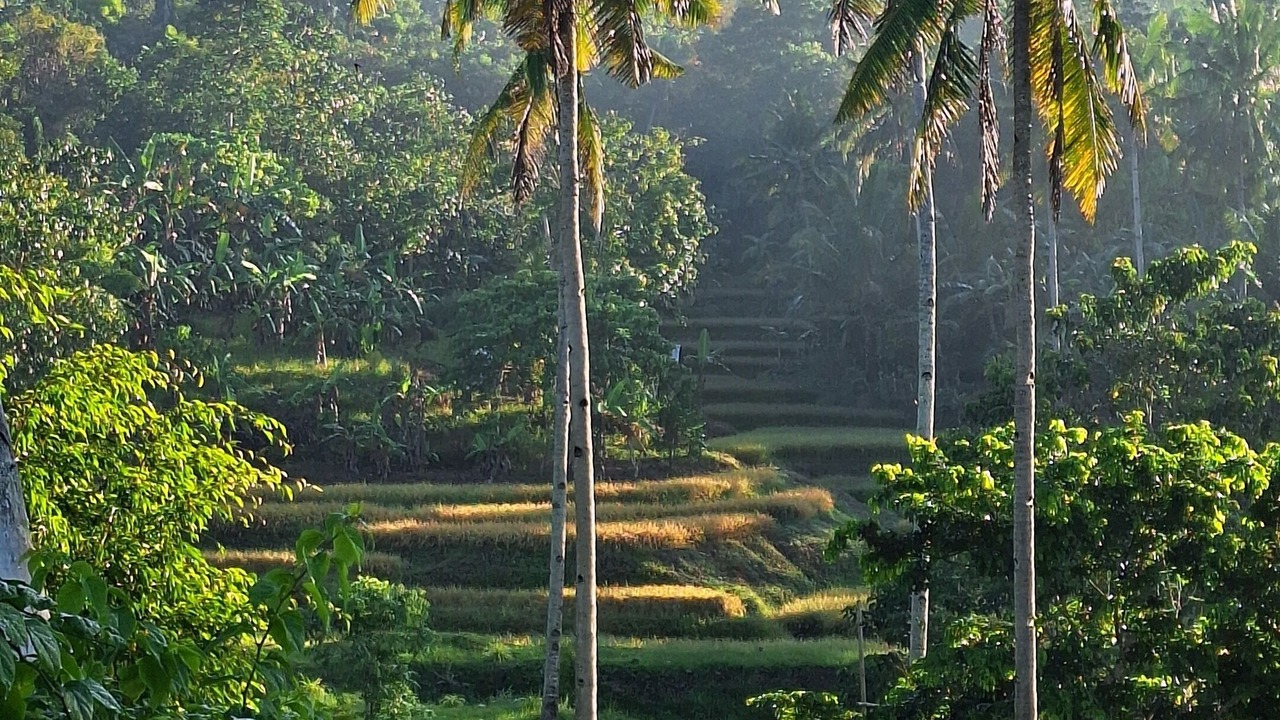 Photo of Outdoor in Carmen