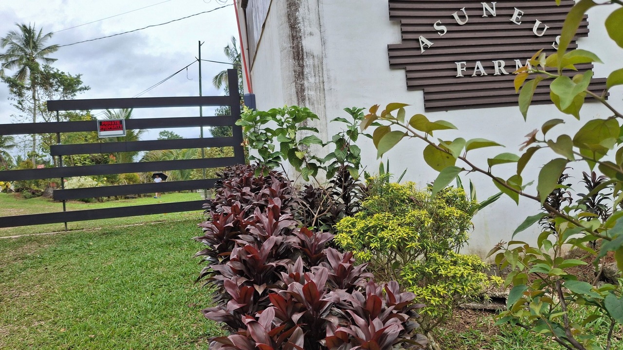 Photo of Outdoor in Carmen