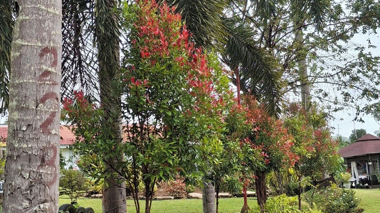 Photo of Outdoor in Carmen