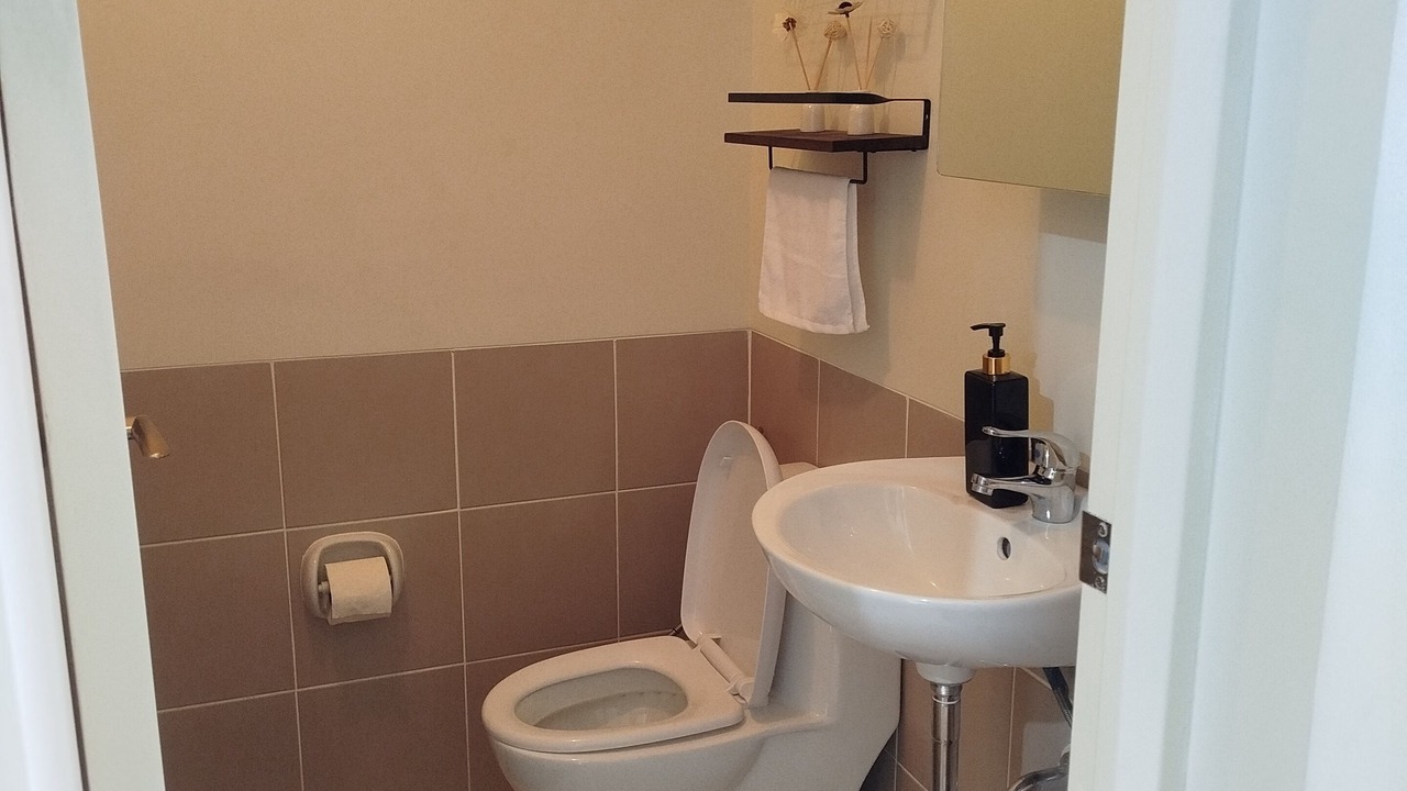 Photo of Bathroom in Project 4