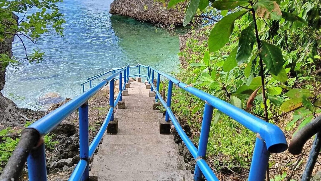 Photo of Others in Oslob