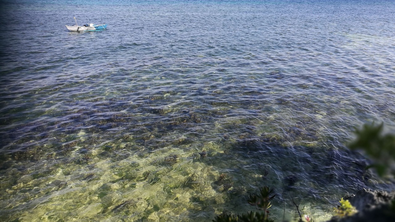 Photo of Others in Panglao