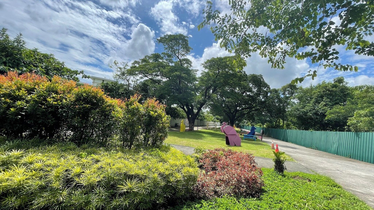 Photo of Outdoor in CSJDM