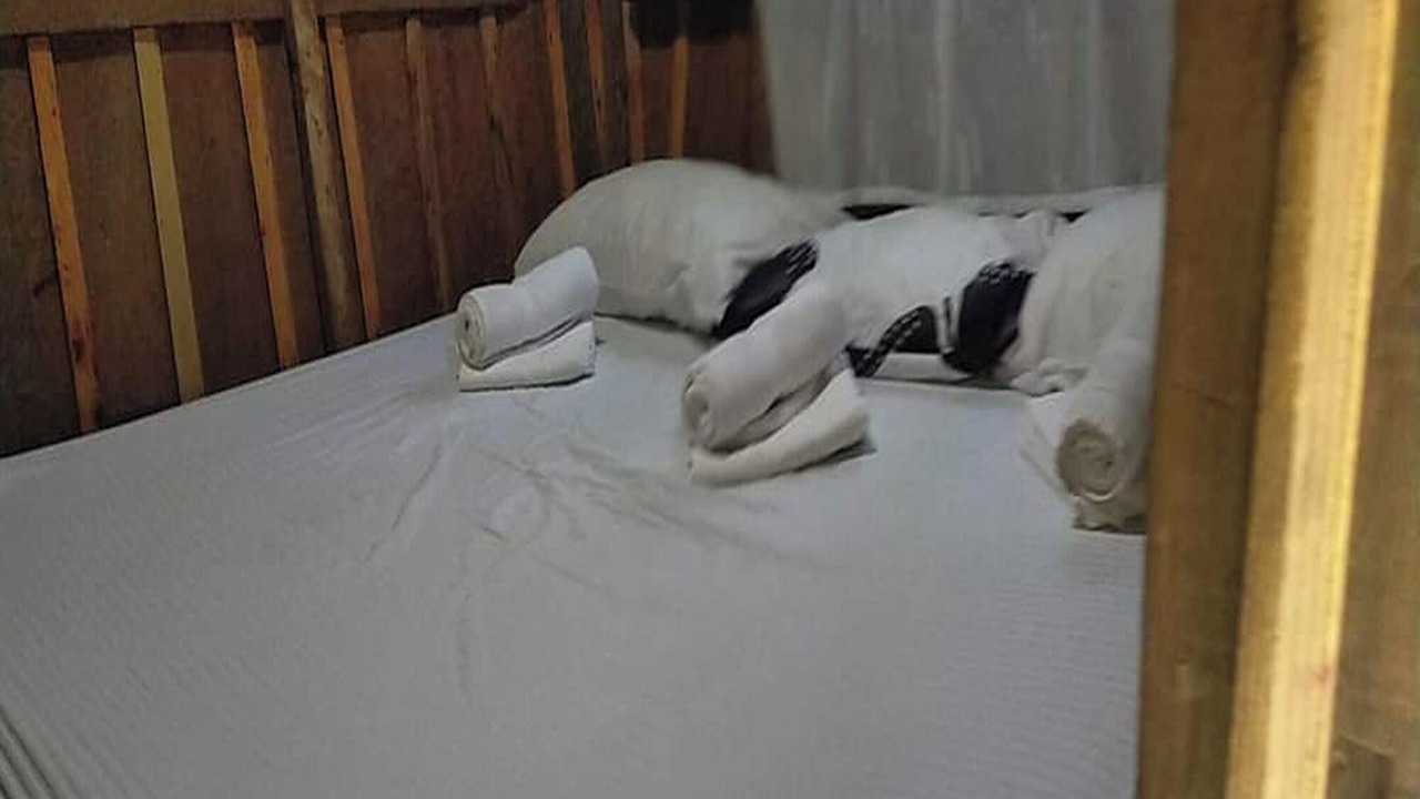 Photo of Bedroom in San Juan