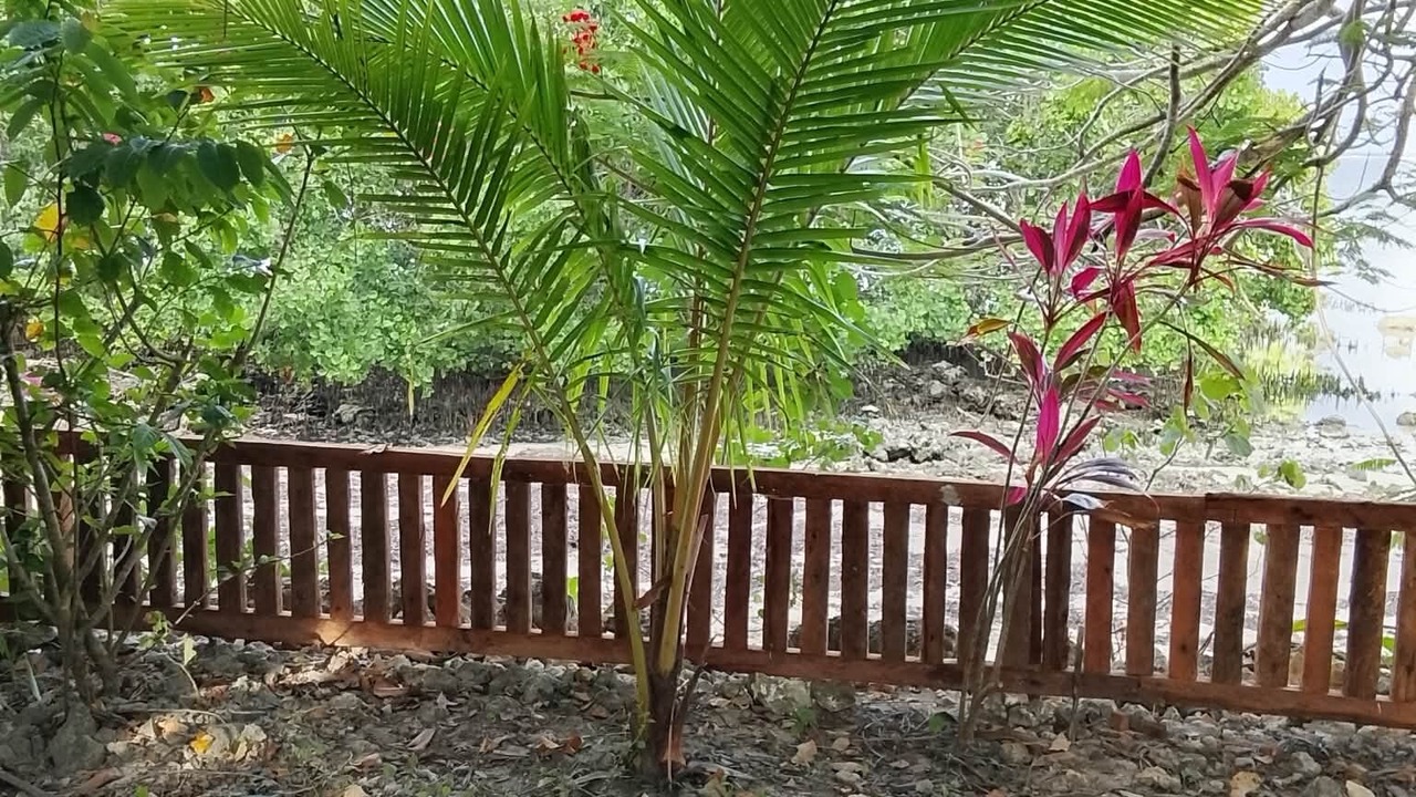 Photo of Outdoor in Catangnan
