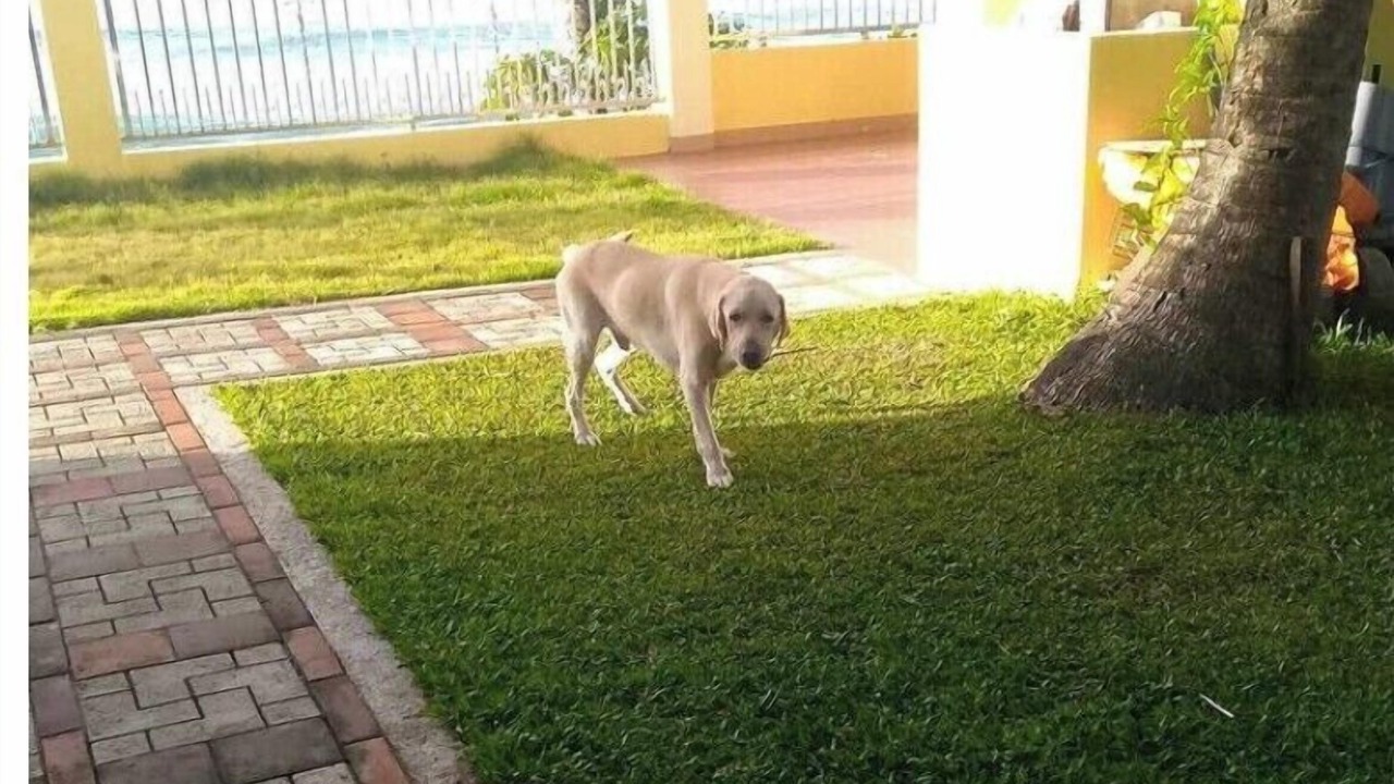 Photo of Outdoor in Polillo