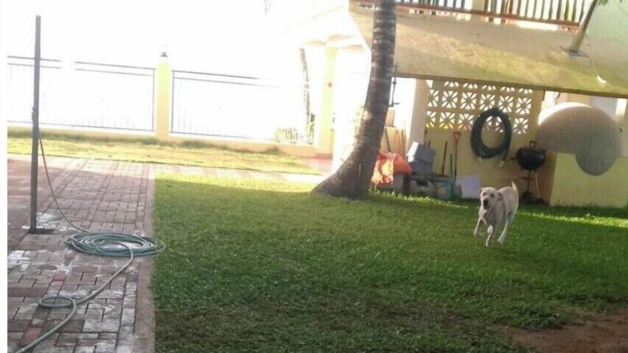 Photo of Outdoor in Polillo