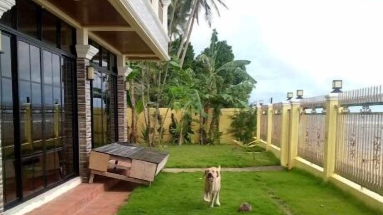 Photo of Outdoor in Polillo