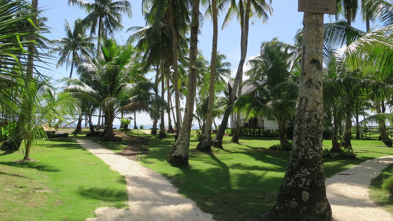 Photo of Outdoor in General Luna