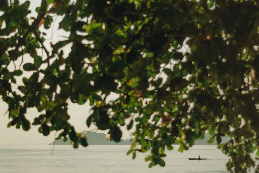 Photo of Others in El Nido