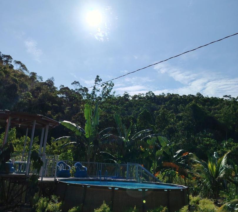 Photo of Others in Corella