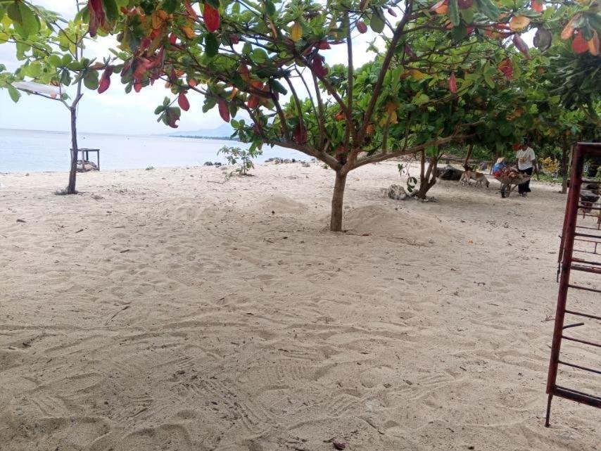 Photo of Others in Sawang