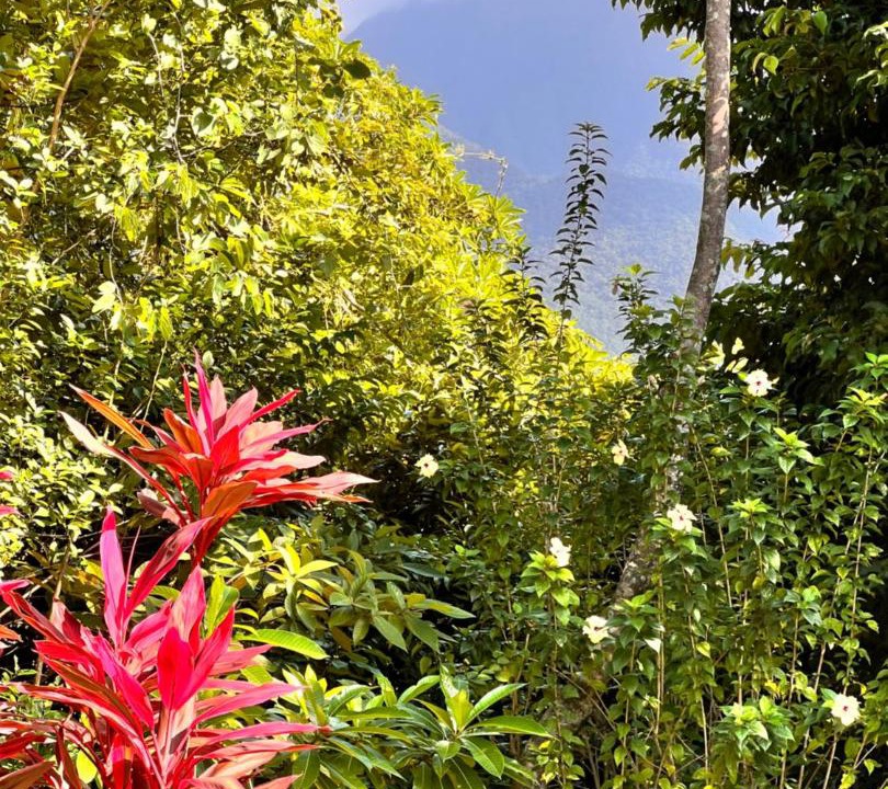 Photo of Outdoor in San Fernando