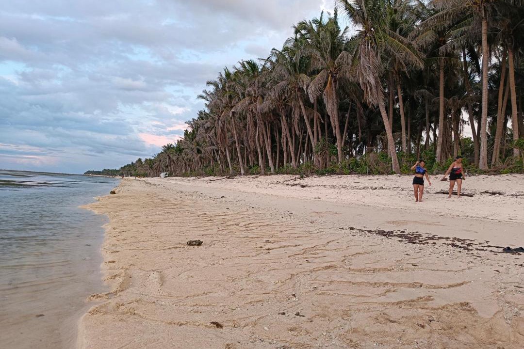 Photo of Others in Patar