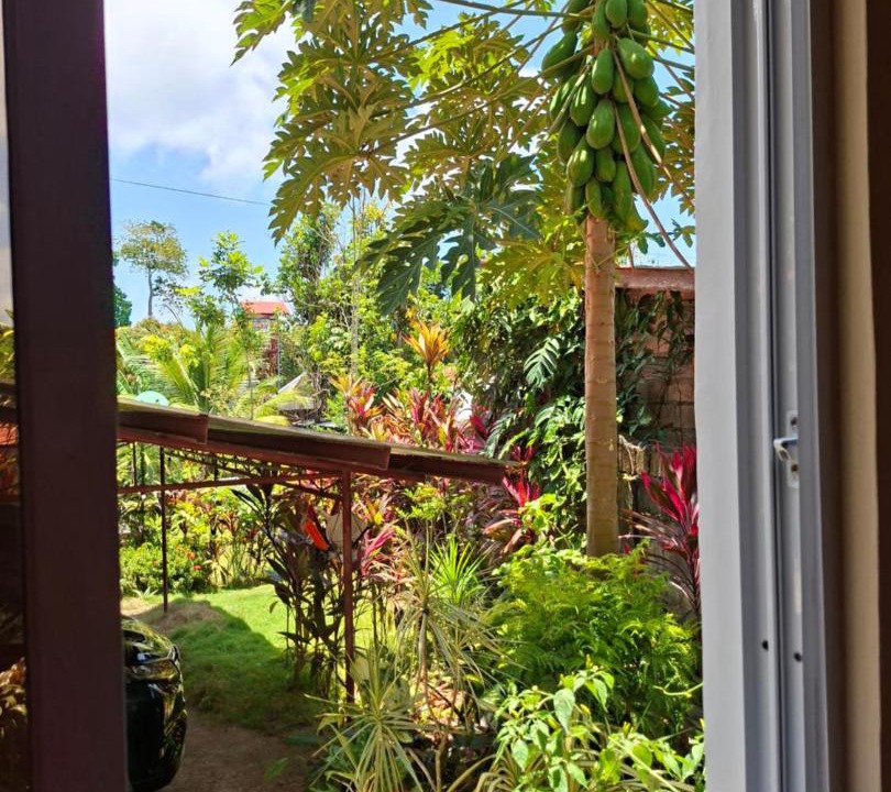 Photo of Patio Balcony in Mambajao