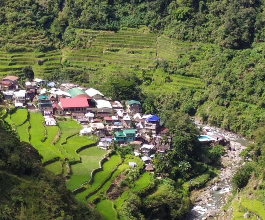 Photo of Others in Batad