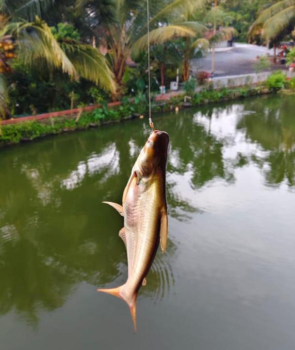 Photo of Others in Kampung Rawa