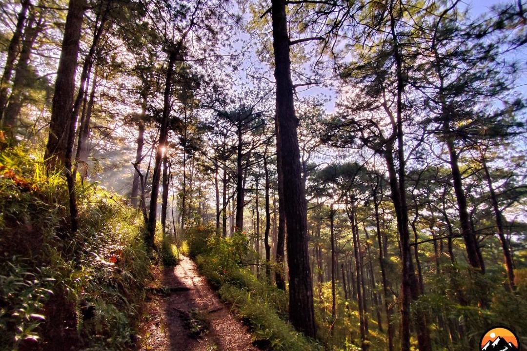 Photo of Others in Baguio