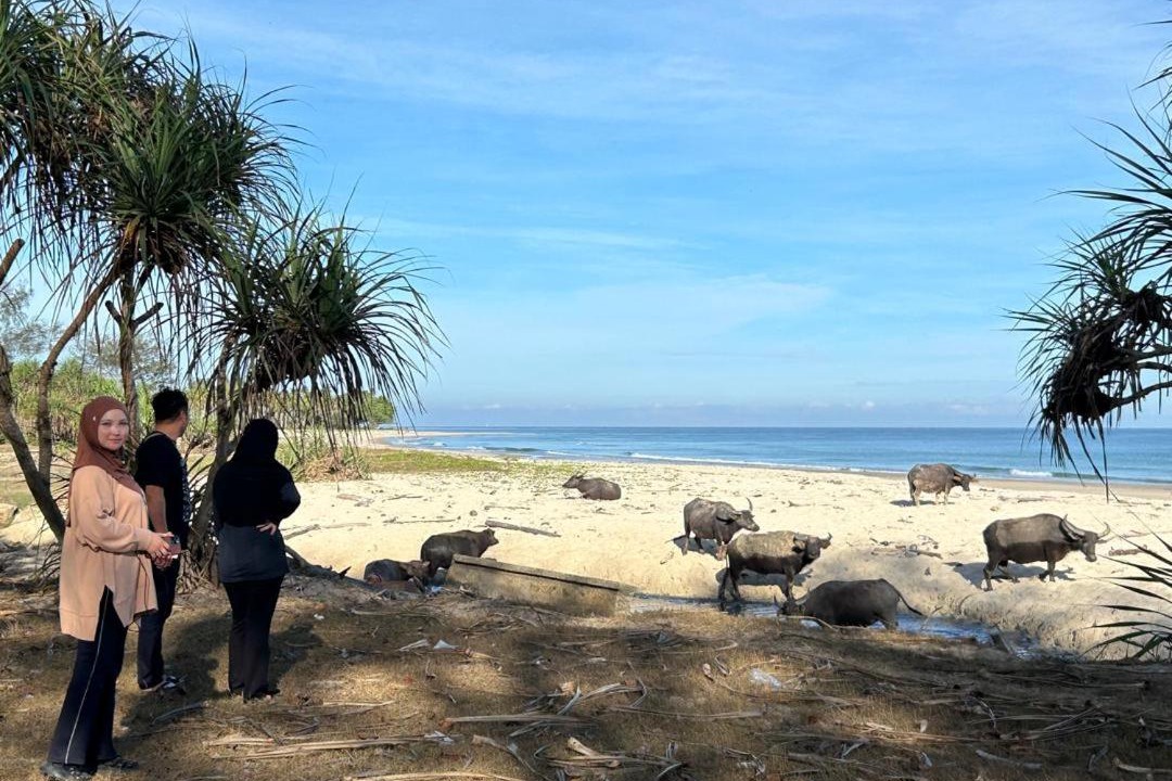 Photo of Others in Kuala Penyu