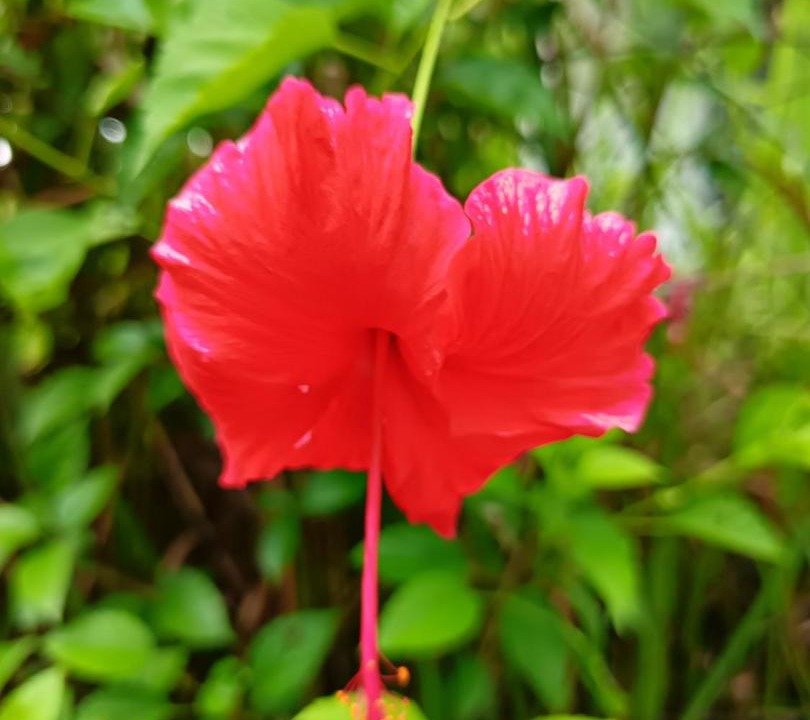 Photo of Outdoor in Bukit Beruntung