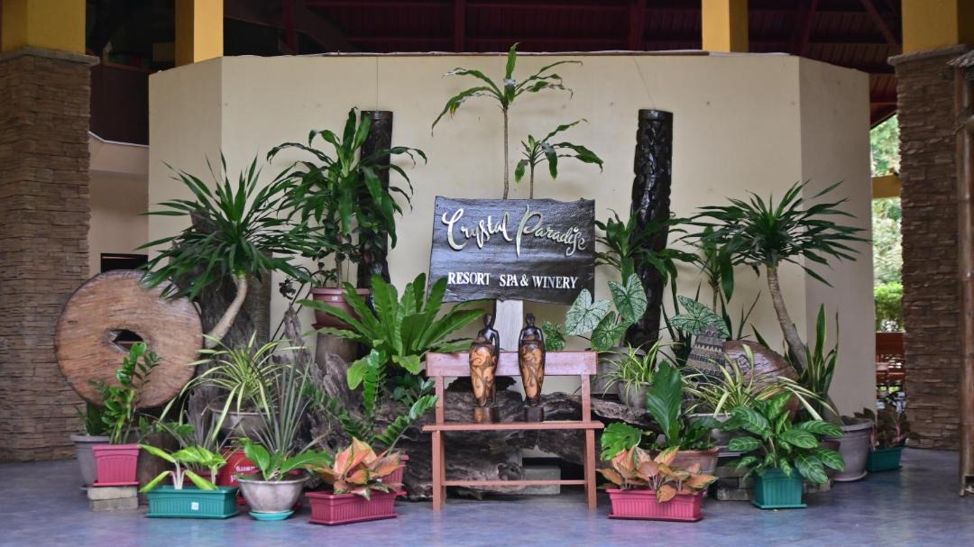 Photo of Others in Narra