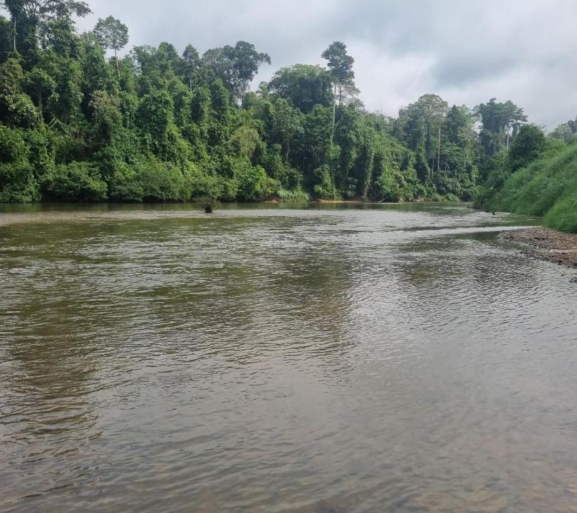 Photo of Others in Kuala Tahan