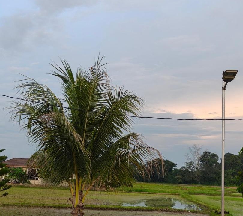 Photo of Others in Ngulang