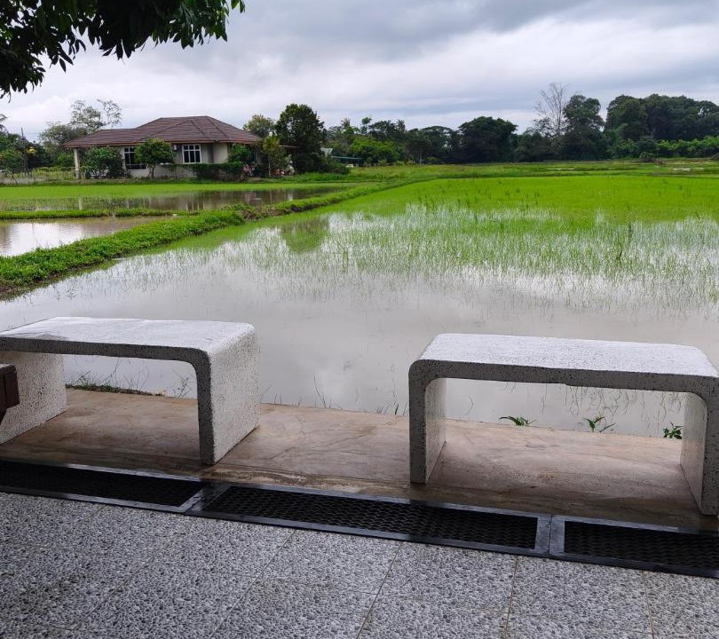 Photo of Others in Ngulang