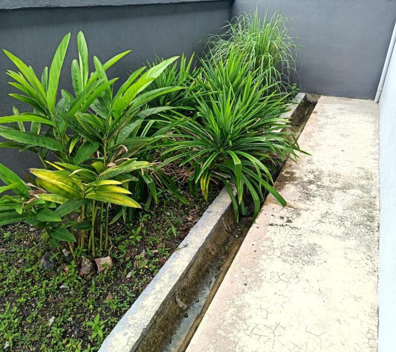 Photo of Others in Bukit Payong