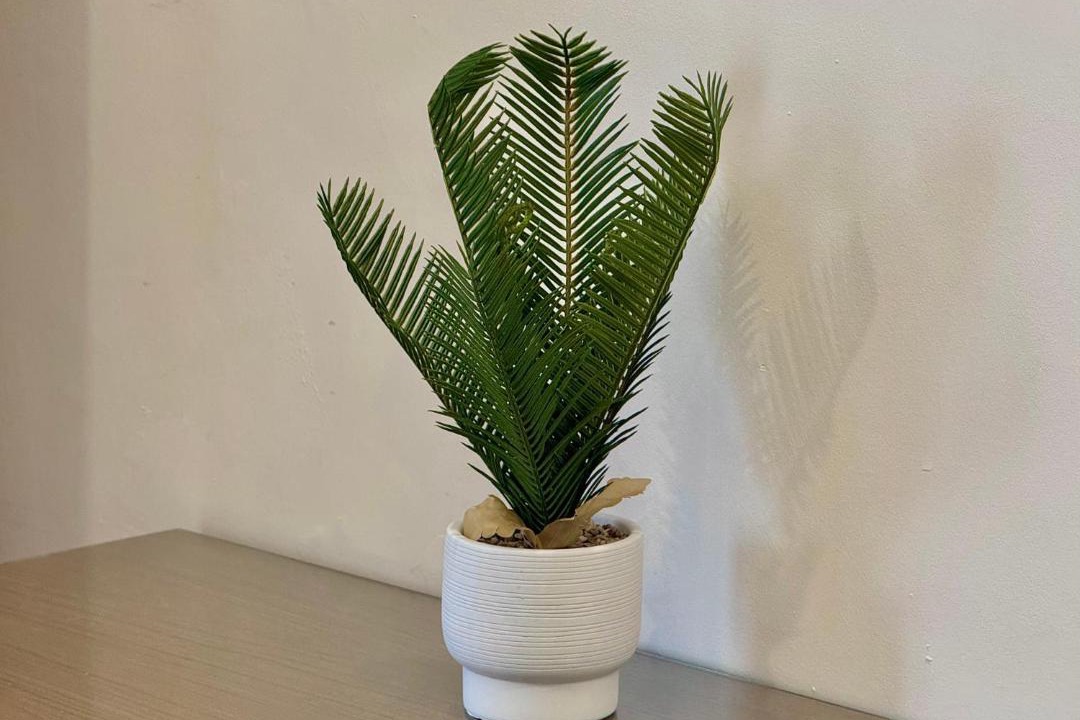 Photo of Others in Kuching