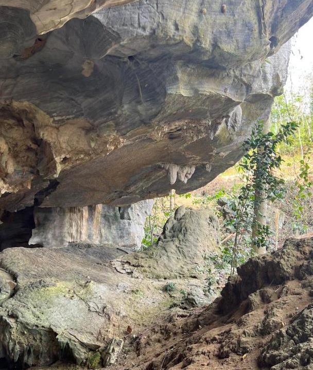 Photo of Others in Gua Musang