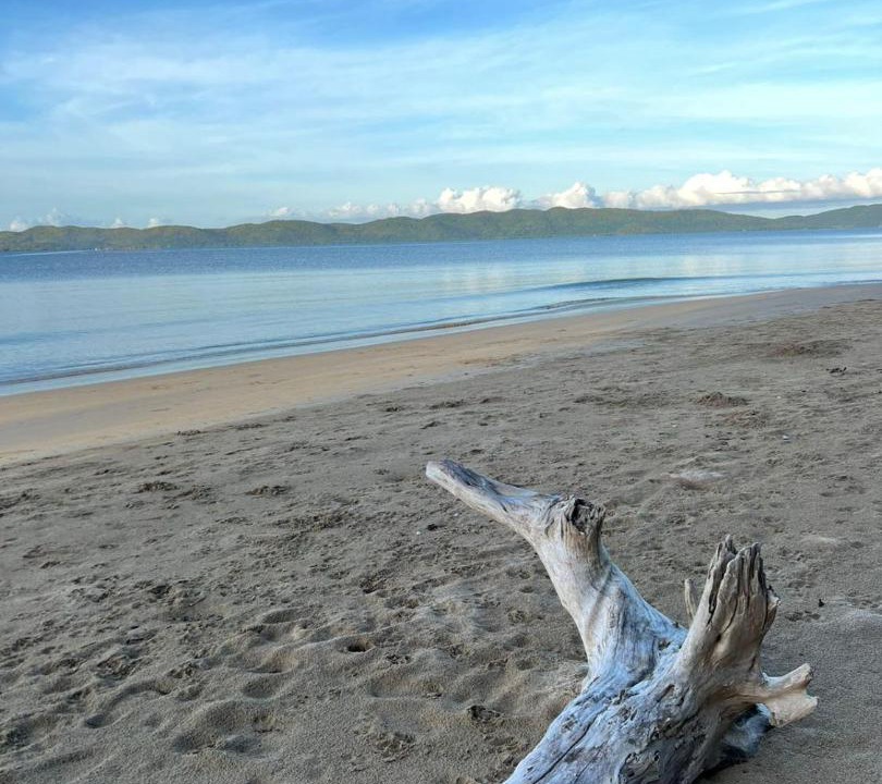 Photo of Others in Busuanga