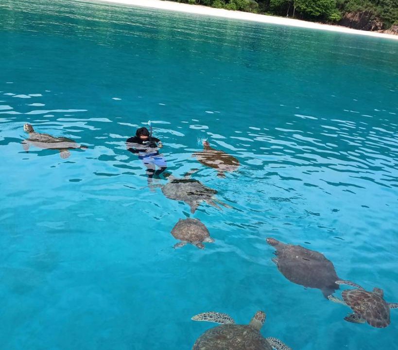 Photo of Others in Redang Island
