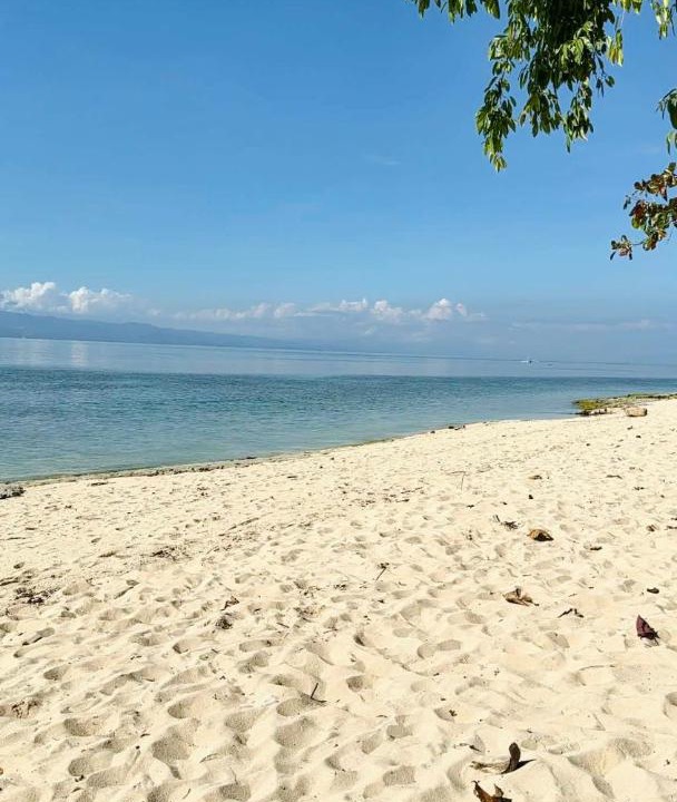 Photo of Others in Moalboal