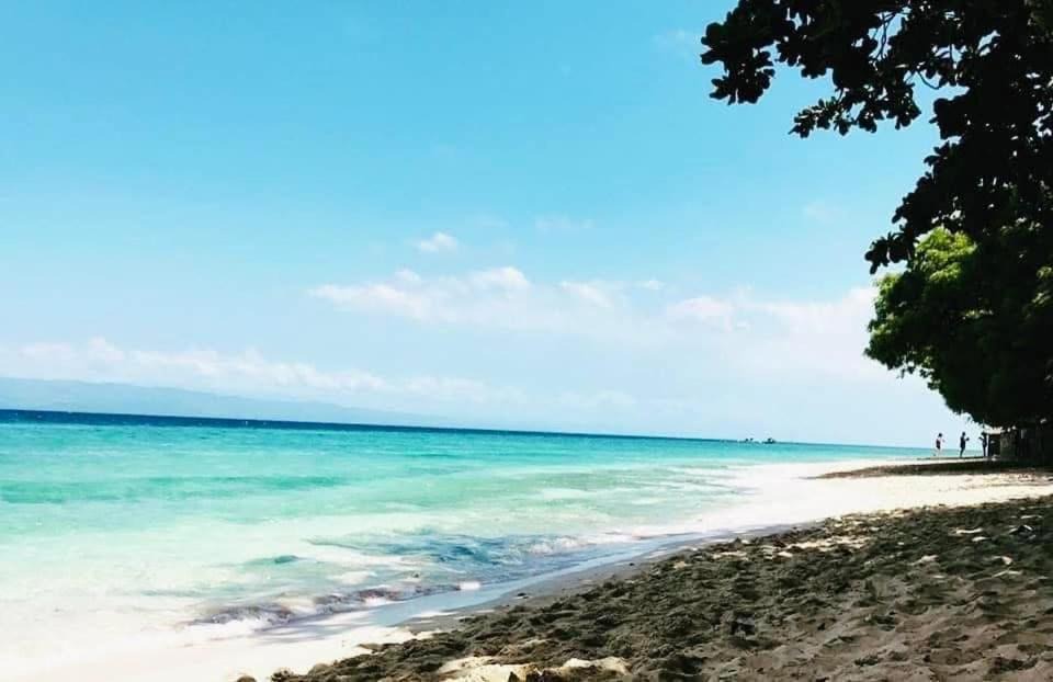 Photo of Others in Moalboal