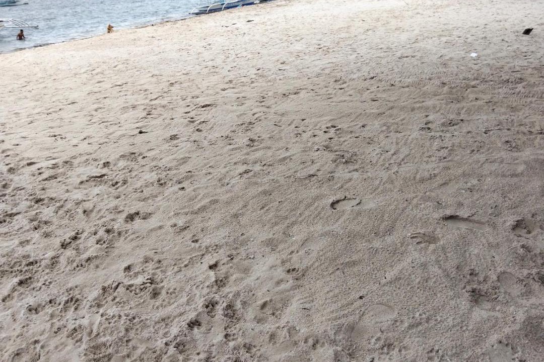 Photo of Others in Daanbantayan