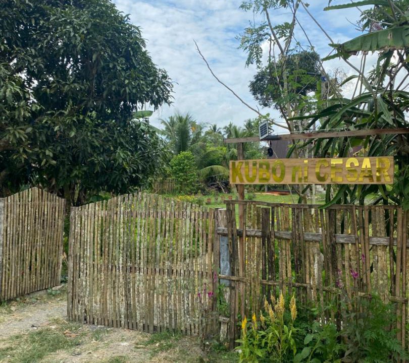 Photo of Others in Batuan