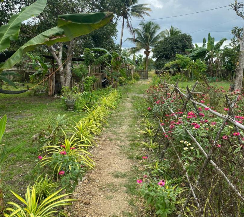 Photo of Others in Batuan