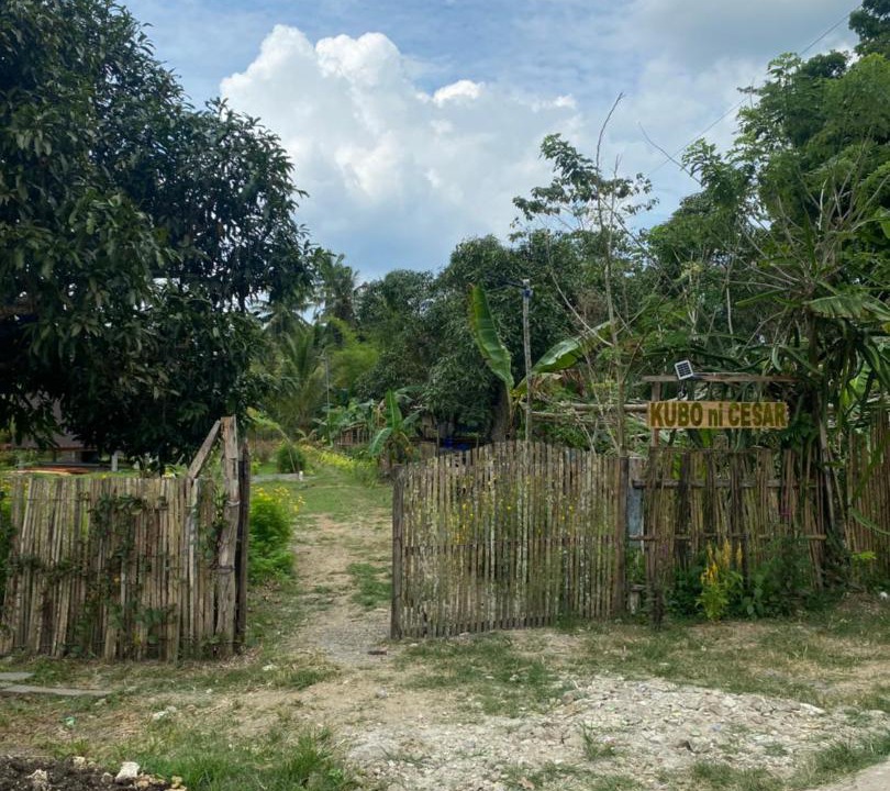 Photo of Others in Batuan