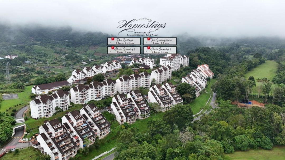 Photo of Others in Bukit Tinggi