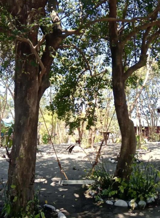 Photo of Outdoor in Luna