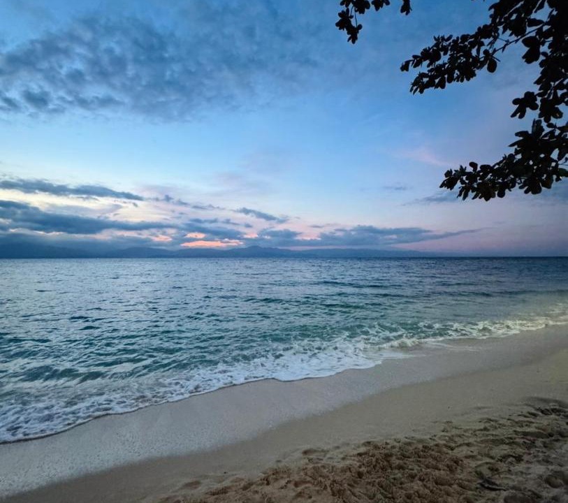 Photo of Others in Moalboal