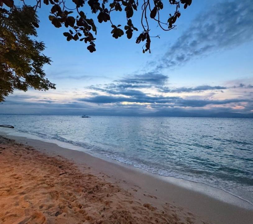 Photo of Others in Moalboal